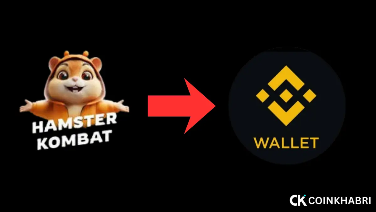 How To Connect Your Binance Web3 Wallet To Airdrop Bots