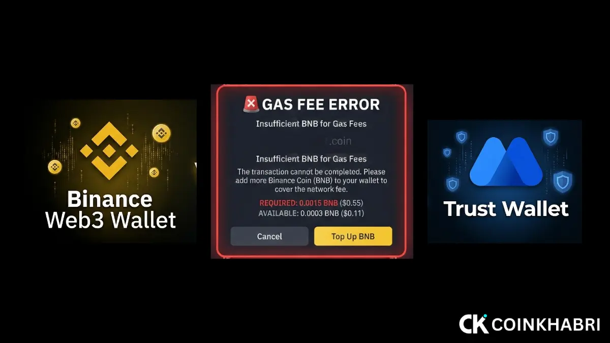 How to Fix Insufficient Gas Fee Error Infographic