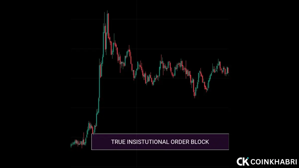 True Institutional Order Blocks Infographic